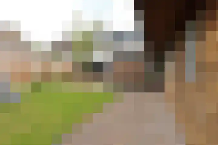 Tinkelenbergstrjitte 9 Sibrandabuorren thumbnail 5
