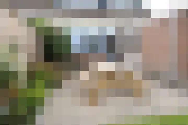Tinkelenbergstrjitte 9 Sibrandabuorren thumbnail 6