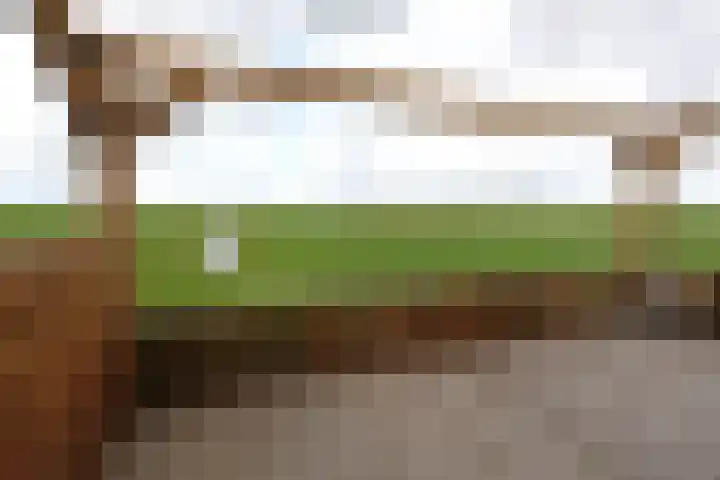 Tinkelenbergstrjitte 9 Sibrandabuorren thumbnail 9