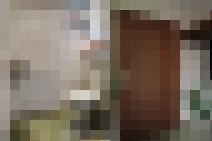 Tinnegieter 102 Hoorn thumbnail 10