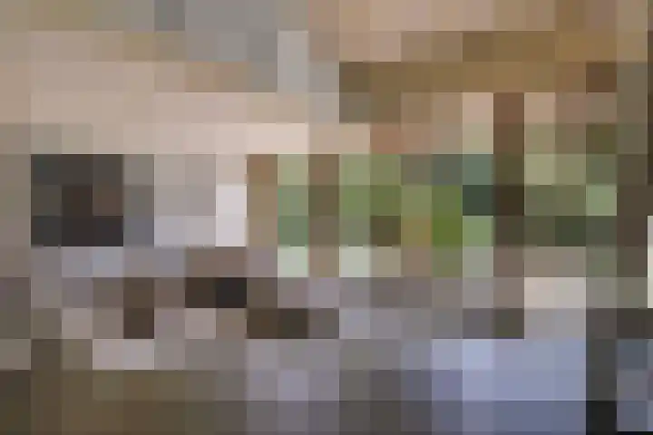 Tinnegieter 102 Hoorn thumbnail 12