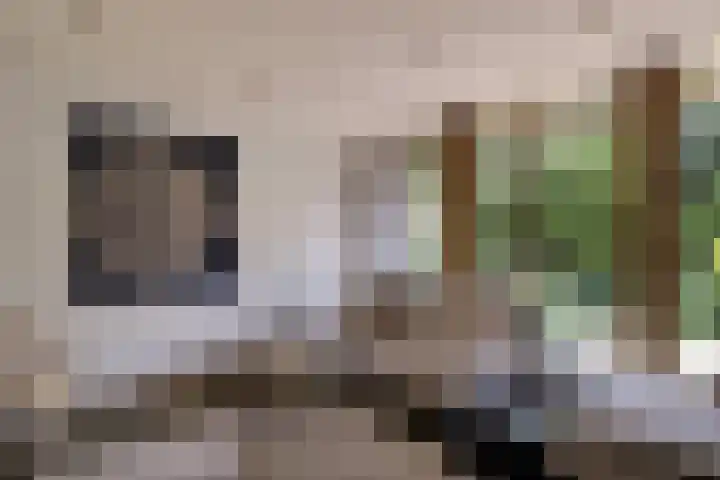 Tinnegieter 102 Hoorn thumbnail 15
