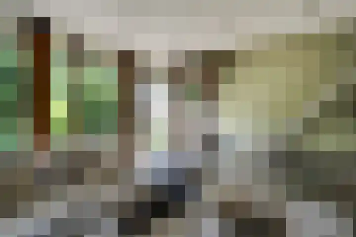 Tinnegieter 102 Hoorn thumbnail 16