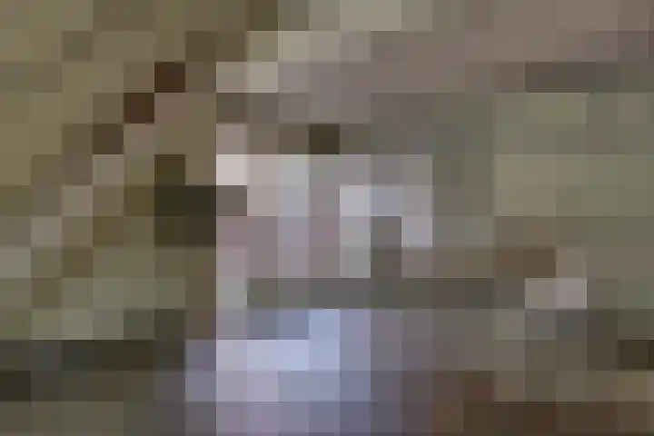 Tinnegieter 102 Hoorn thumbnail 18
