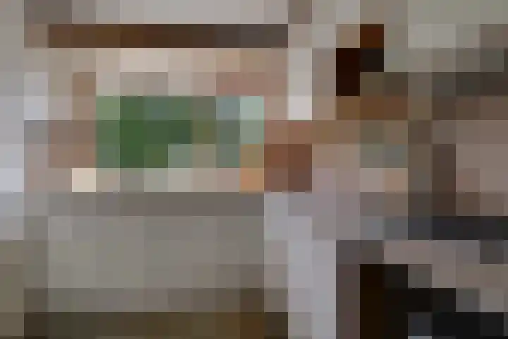 Tinnegieter 102 Hoorn thumbnail 20
