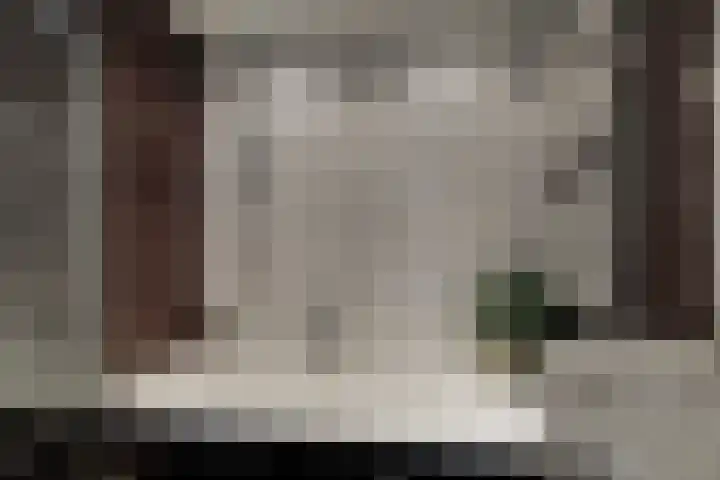 Tinnegieter 102 Hoorn thumbnail 22