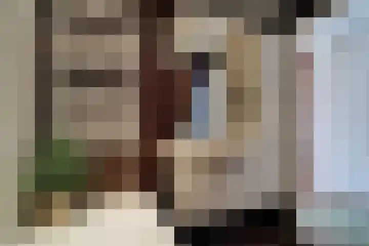 Tinnegieter 102 Hoorn thumbnail 24