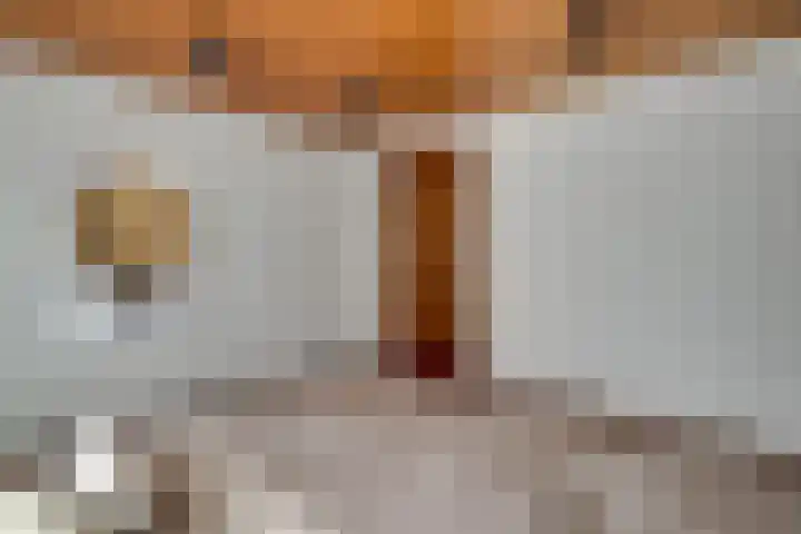 Tinnegieter 102 Hoorn thumbnail 27