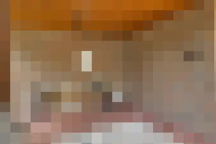 Tinnegieter 102 Hoorn thumbnail 30
