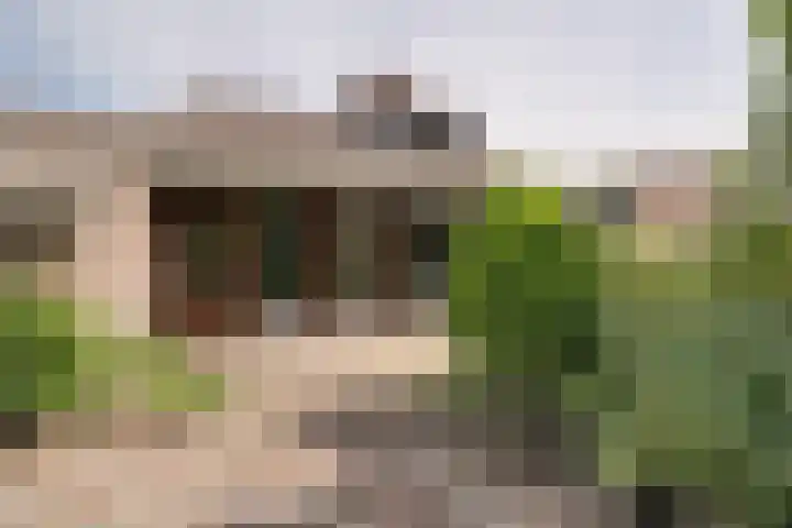 Tinnegieter 102 Hoorn thumbnail 34