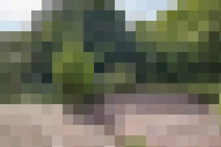 Tinnegieter 102 Hoorn thumbnail 36
