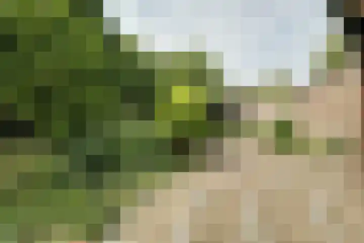Tinnegieter 102 Hoorn thumbnail 37