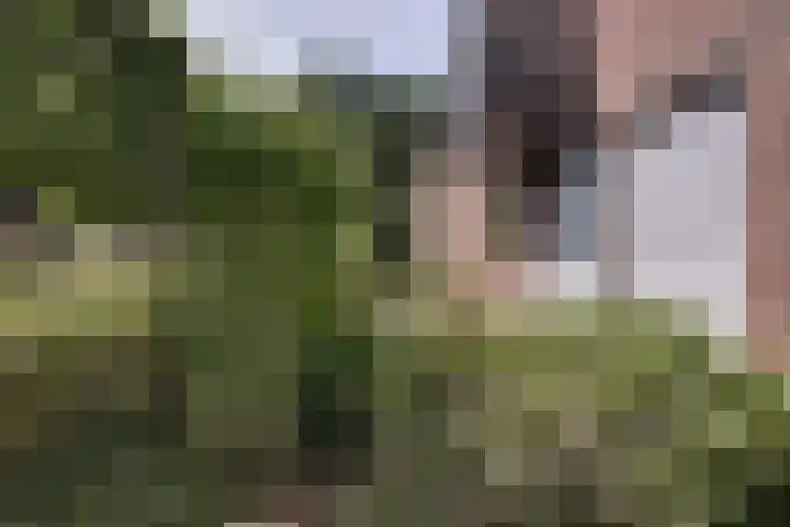 Tinnegieter 102 Hoorn thumbnail 38