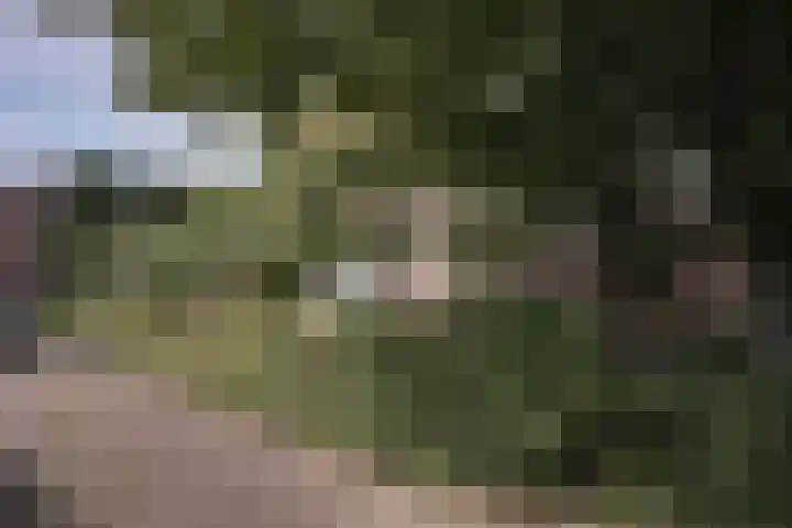 Tinnegieter 102 Hoorn thumbnail 39