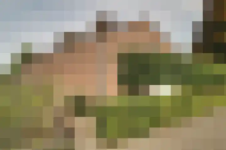 Tinnegieter 102 Hoorn thumbnail 40