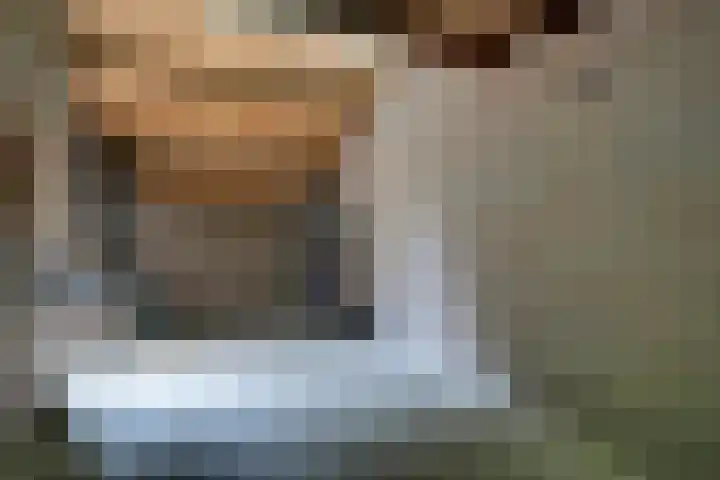Tinnegieter 102 Hoorn thumbnail 42