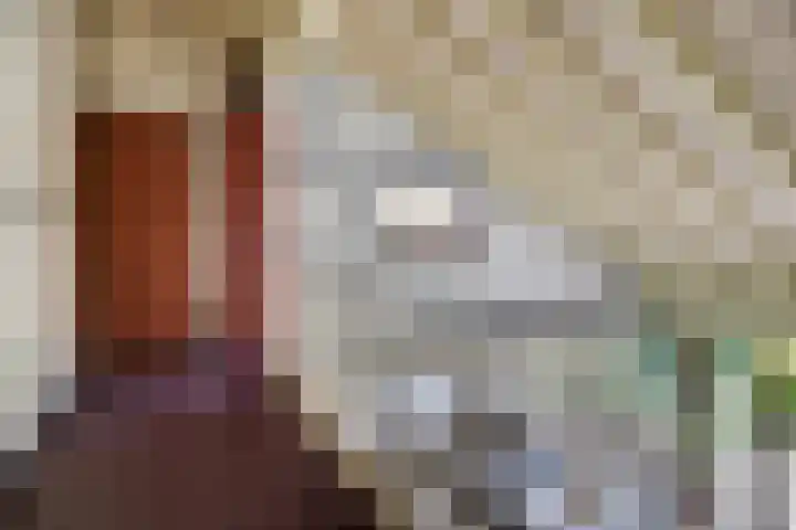 Tinnegieter 102 Hoorn thumbnail 43