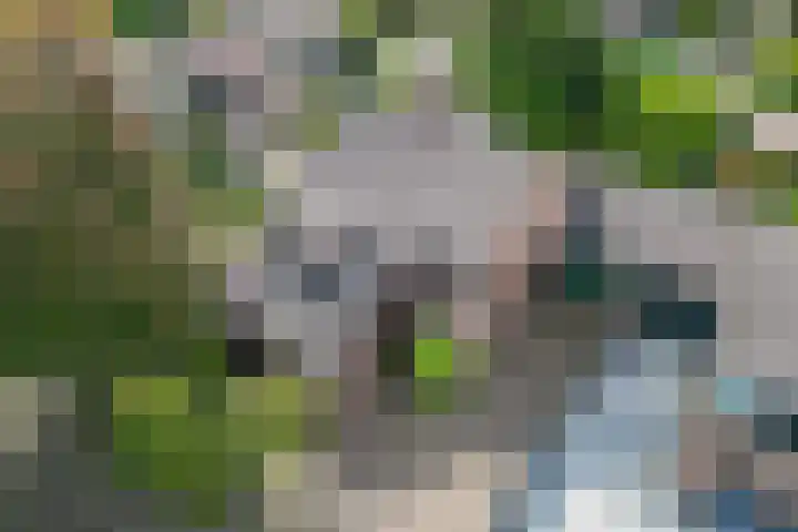 Tinnegieter 102 Hoorn thumbnail 5
