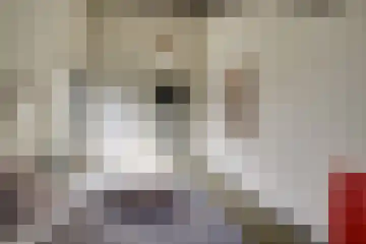 Tinnegieter 102 Hoorn thumbnail 57