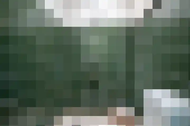 Tinnegieter 102 Hoorn thumbnail 59