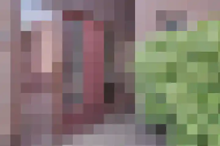 Tinnegieter 102 Hoorn thumbnail 6