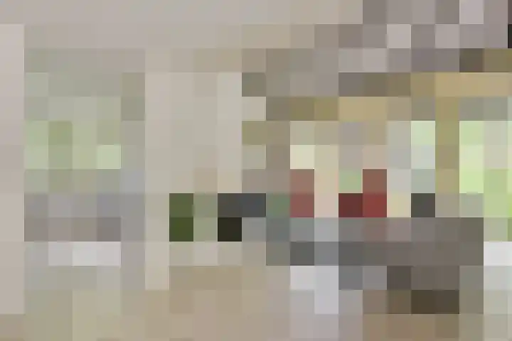 Tinnegieter 108 Hoorn thumbnail 11