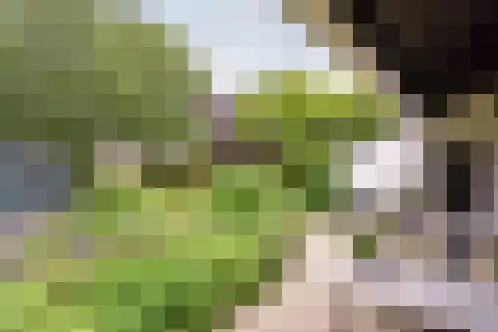 Tinnegieter 108 Hoorn thumbnail 24