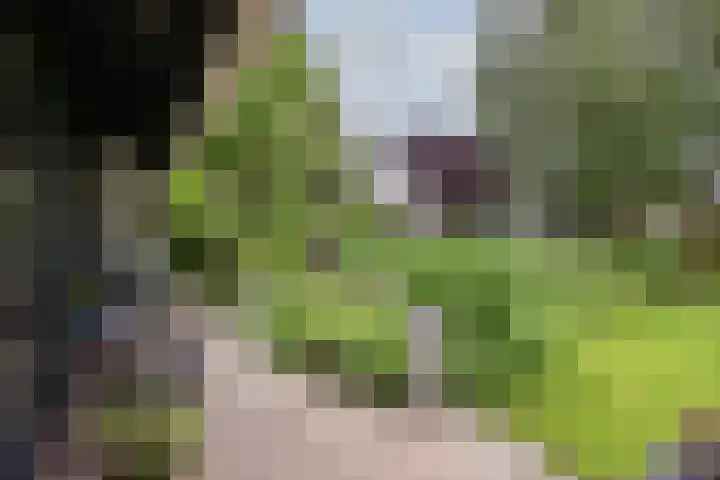 Tinnegieter 108 Hoorn thumbnail 25