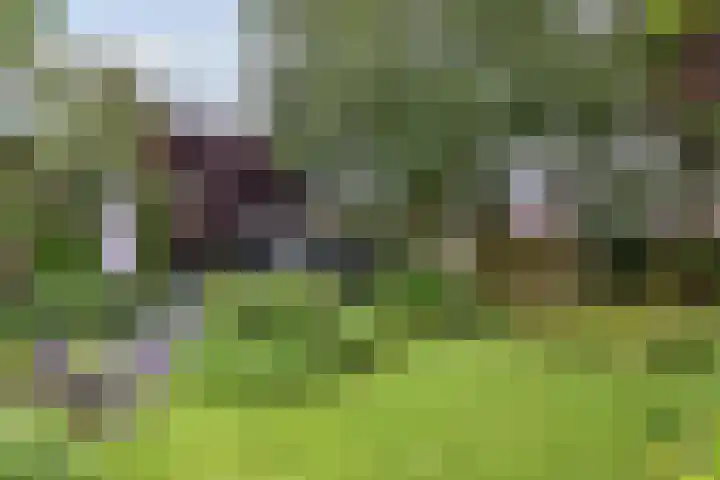 Tinnegieter 108 Hoorn thumbnail 27