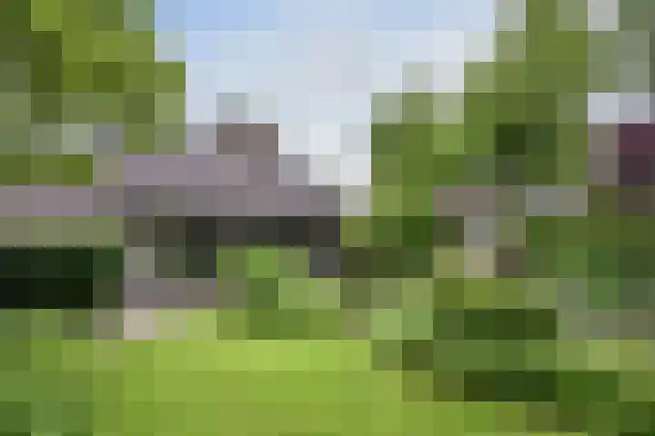 Tinnegieter 108 Hoorn thumbnail 28
