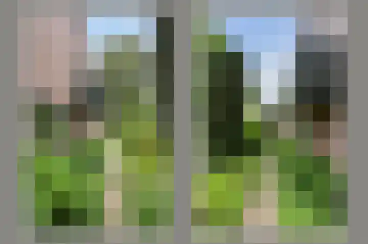 Tinnegieter 108 Hoorn thumbnail 29