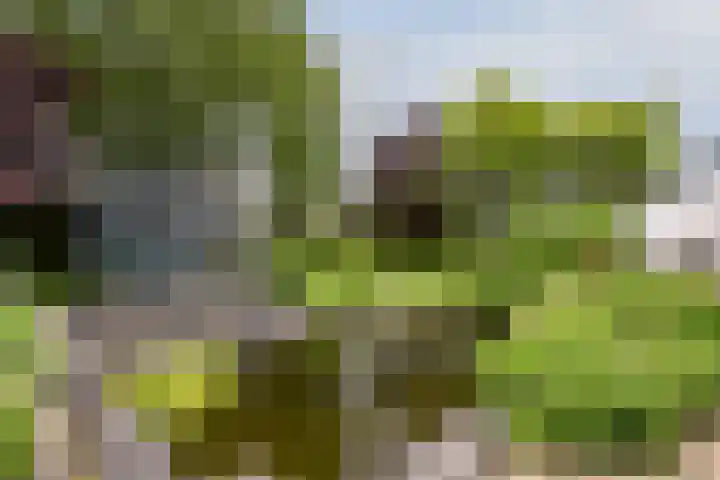 Tinnegieter 108 Hoorn thumbnail 30