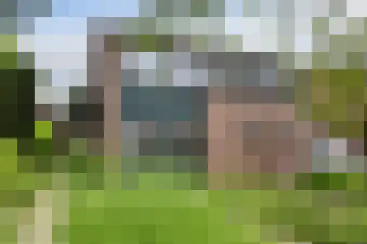 Tinnegieter 108 Hoorn thumbnail 31