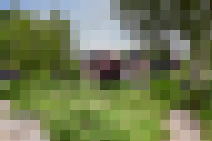 Tinnegieter 108 Hoorn thumbnail 32