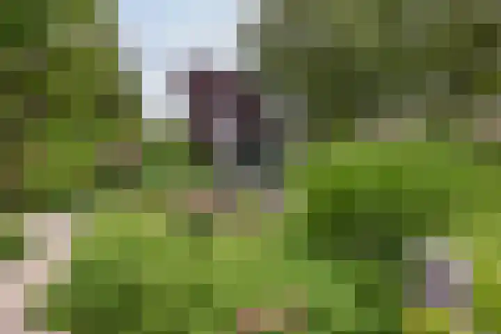 Tinnegieter 108 Hoorn thumbnail 33