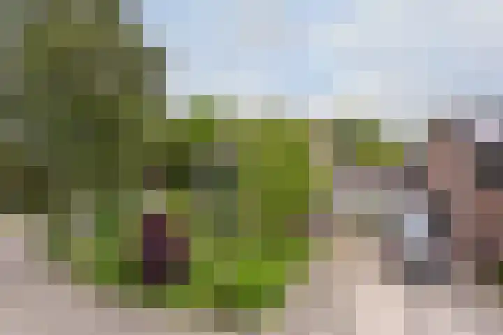 Tinnegieter 108 Hoorn thumbnail 34