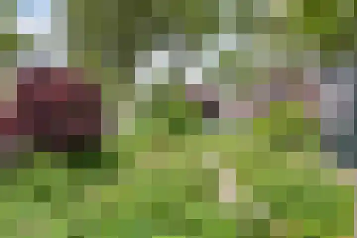 Tinnegieter 108 Hoorn thumbnail 35