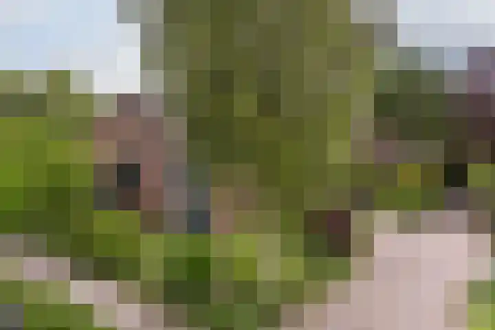Tinnegieter 108 Hoorn thumbnail 4