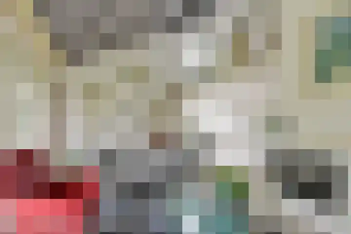 Tinnegieter 108 Hoorn thumbnail 8