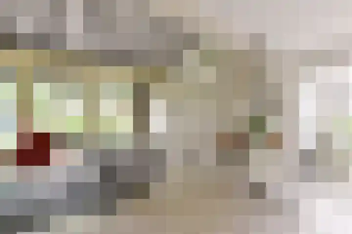 Tinnegieter 108 Hoorn thumbnail 9