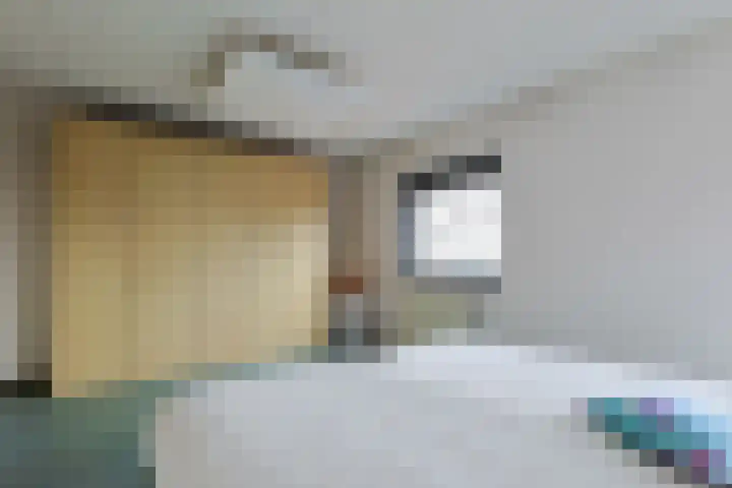 Tinnegieter 11 Leiderdorp thumbnail 21