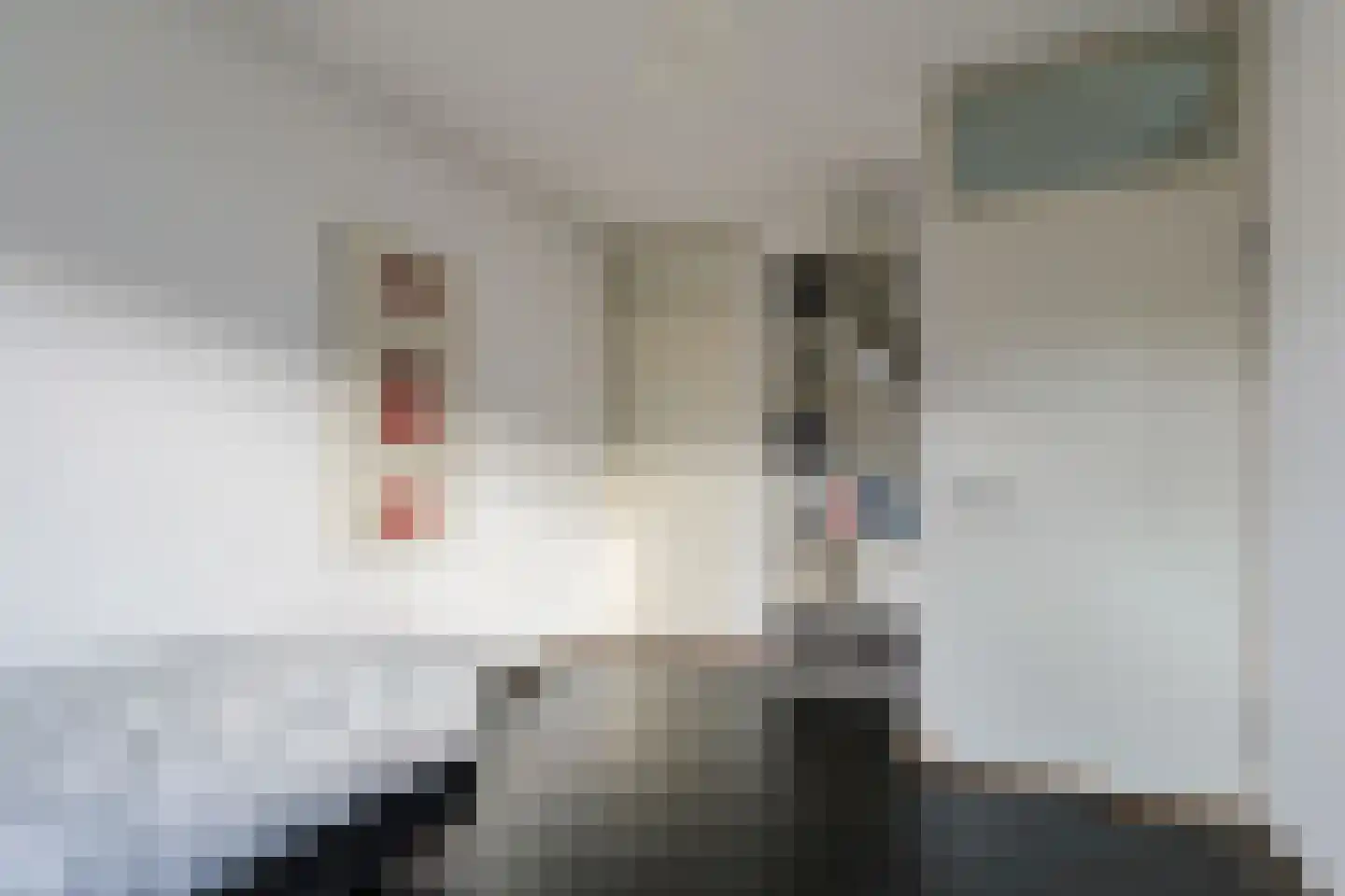 Tinnegieter 11 Leiderdorp thumbnail 25