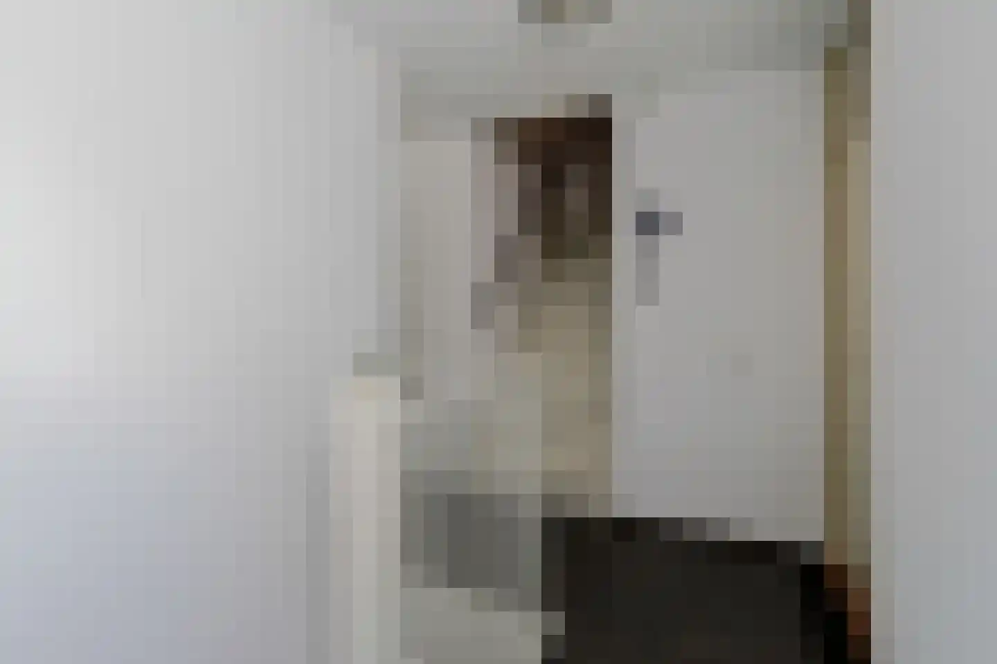 Tinnegieter 11 Leiderdorp thumbnail 29