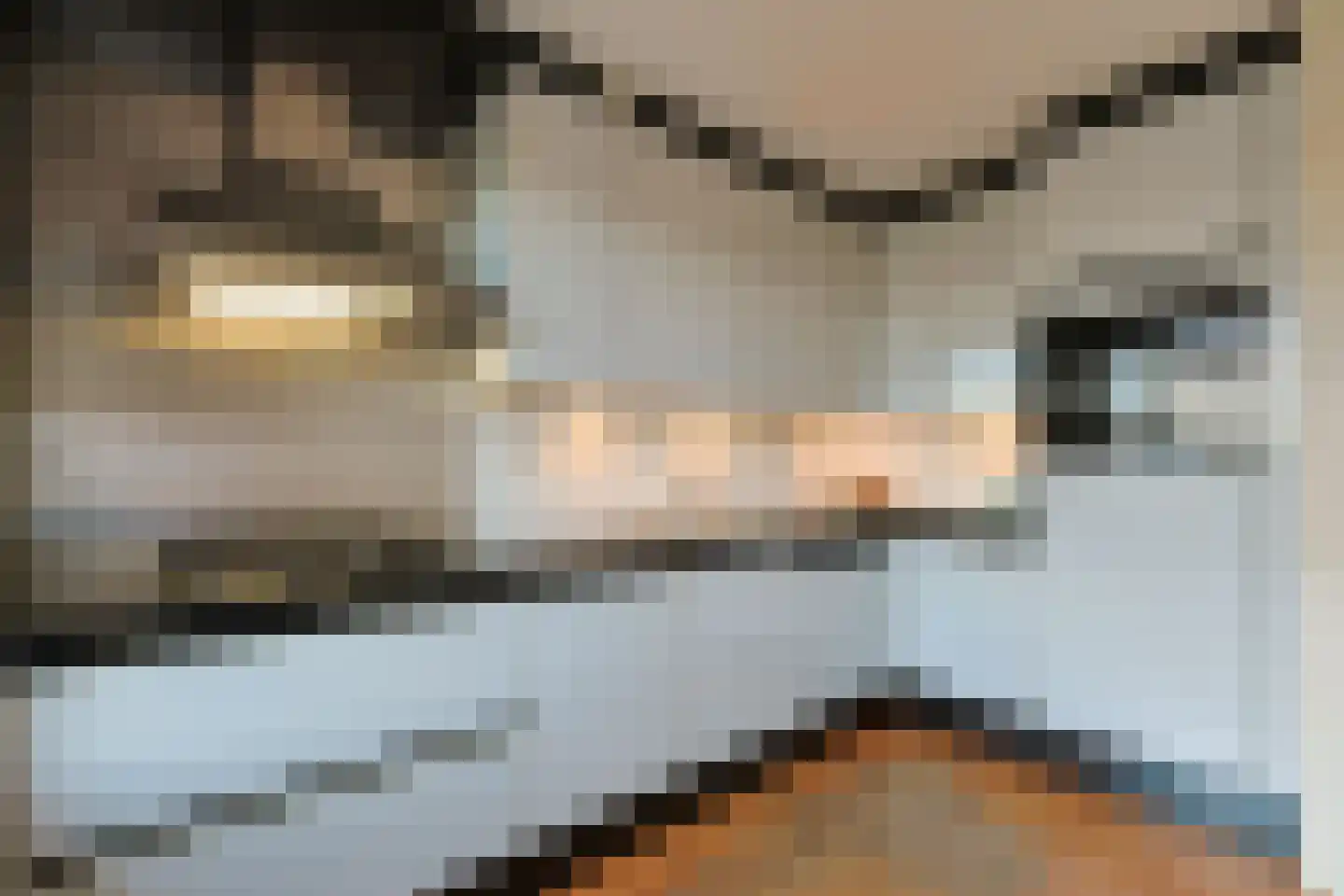 Tinnegieter 11 Leiderdorp thumbnail 5