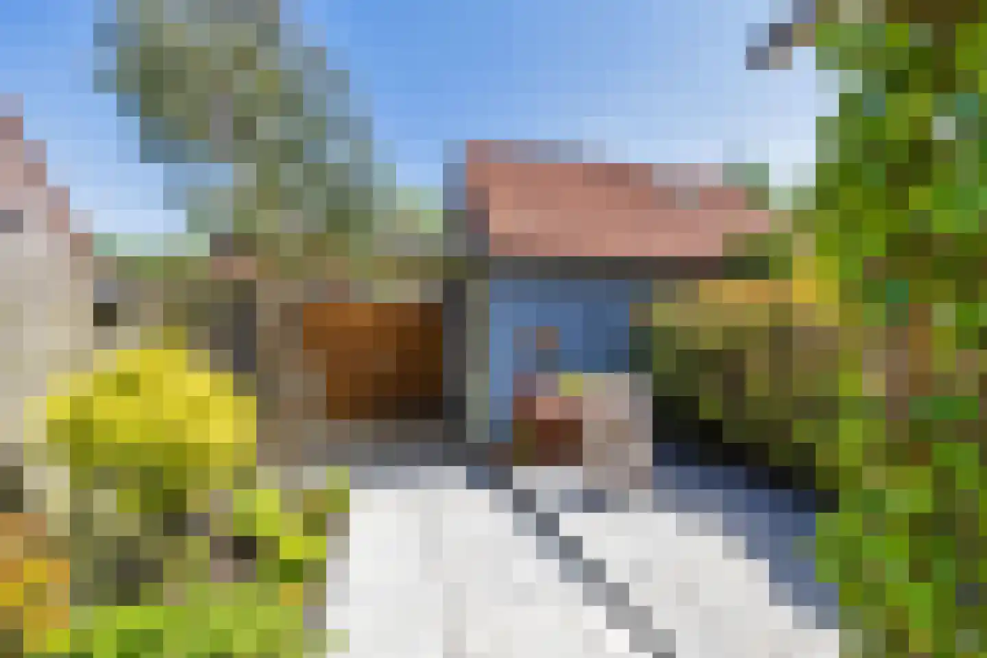 Tinnegieter 12 Hellevoetsluis thumbnail 20