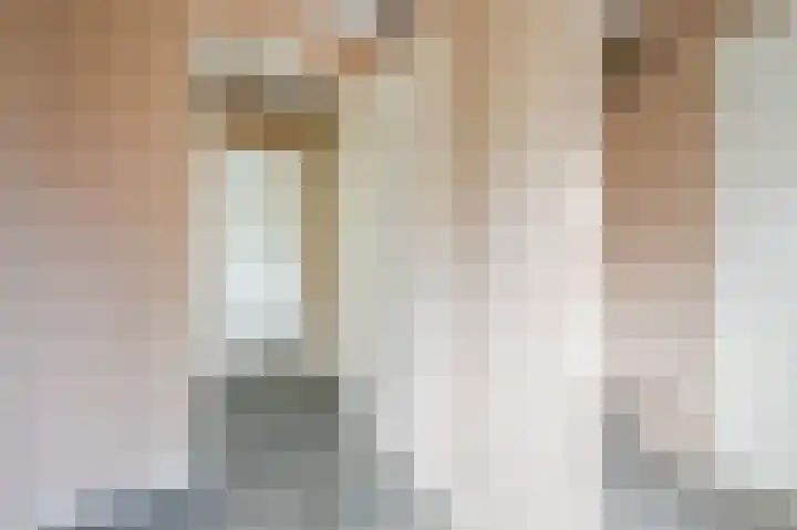 Tinnegieter 18 Hoorn thumbnail 17