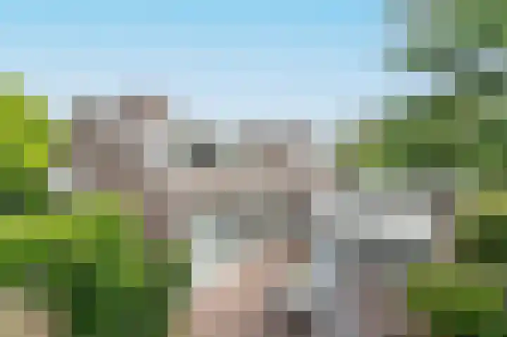Tinnegieter 18 Hoorn thumbnail 38