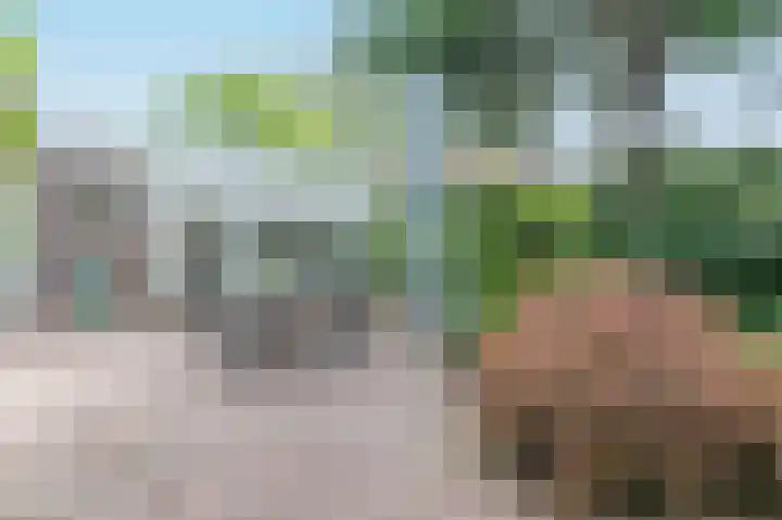 Tinnegieter 18 Hoorn thumbnail 40