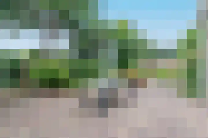 Tinnegieter 18 Hoorn thumbnail 45