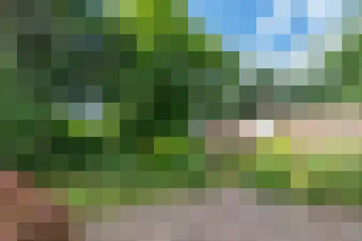Tinnegieter 18 Hoorn thumbnail 46